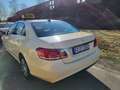 Mercedes-Benz E 200 E-Klasse Diesel CDI DPF BlueEFFICIENCY Automatik E Galben - thumbnail 2