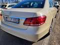 Mercedes-Benz E 200 E-Klasse Diesel CDI DPF BlueEFFICIENCY Automatik E Galben - thumbnail 3