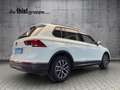 Volkswagen Tiguan 1.5 TSI Life DSG LED+ACC+3-Zonen-Klima Blanc - thumbnail 4