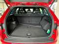 Skoda Kodiaq Sportline 1.5 TSI ACT DSG Navi SHZ ACC Kamera virt Rot - thumbnail 9