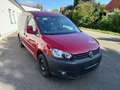 Volkswagen Caddy Caddy Maxi Trendline Radio/CD,Sitzh.NUR 60"KM Rot - thumbnail 6