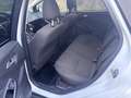 Ford Focus Turnier 1,0i Ecoboost Titanium-Xenon- Weiß - thumbnail 11