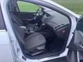 Ford Focus Turnier 1,0i Ecoboost Titanium-Xenon- Weiß - thumbnail 13