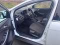 Ford Focus Turnier 1,0i Ecoboost Titanium-Xenon- Weiß - thumbnail 9