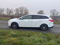 Ford Focus Turnier 1,0i Ecoboost Titanium-Xenon- Weiß - thumbnail 2