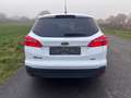 Ford Focus Turnier 1,0i Ecoboost Titanium-Xenon- Weiß - thumbnail 3