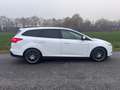 Ford Focus Turnier 1,0i Ecoboost Titanium-Xenon- Weiß - thumbnail 5