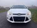 Ford Focus Turnier 1,0i Ecoboost Titanium-Xenon- Weiß - thumbnail 7