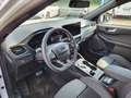Ford Kuga 2.5 full hybrid ST-Line X 2wd 180cv auto Bianco - thumbnail 9