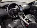 Land Rover Range Rover Evoque 2.0TD4 SE 4WD 150 Weiß - thumbnail 9