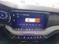 Skoda Octavia Ambition Grau - thumbnail 16