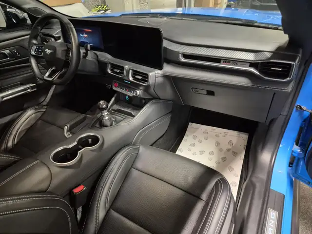 Ford Mustang view 13