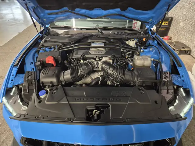 Ford Mustang view 8
