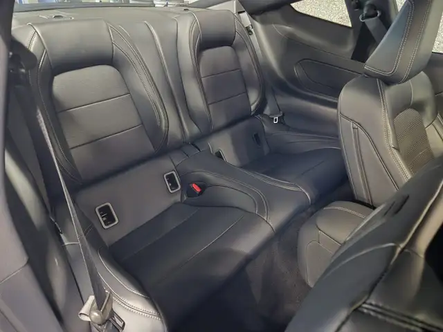 Ford Mustang view 10