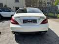 Mercedes-Benz CLS 500 BE 4M AMG Line 9G DTR+ Multibeam Blanco - thumbnail 7