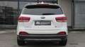 Kia Sorento 2,2 CRDi ISG AWD Platin Automatik | Erstbesitz ... Weiß - thumbnail 5
