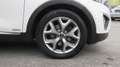 Kia Sorento 2,2 CRDi ISG AWD Platin Automatik | Erstbesitz ... Weiß - thumbnail 8
