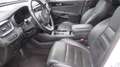 Kia Sorento 2,2 CRDi ISG AWD Platin Automatik | Erstbesitz ... Weiß - thumbnail 12