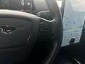 Ford Mustang Mach-E Basis/ACC/Klima/360°RFK Blau - thumbnail 18