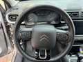 Citroen C3 110cv Max **PAGA COME VUOI** Full Optional Argent - thumbnail 19