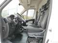 Fiat Ducato Fg. 33 2.3Mjt Medio 95kW Blanco - thumbnail 19