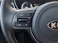 Kia e-Niro BEV 150kWh long Range Gold Aut./LED/Navi/Kamera/1 Gris - thumbnail 17