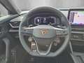 CUPRA Formentor VZ5 VZ5 2.5 TSI 4Drive+LED+NAVI+BEATS+PANO Noir - thumbnail 15