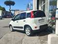 Fiat Panda Panda 1.0 GPL firefly hybrid City Life s Bianco - thumbnail 4