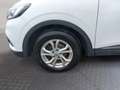 Renault Kadjar Zen Blue dCi 116 Weiß - thumbnail 13