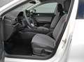 SEAT Leon Road Edition 1.5 TSI 85 kW 116PS 6-Gang Weiß - thumbnail 10