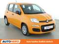 Fiat Panda 1.0 Mild-Hybrid*AHK*KLIMA*WENIG-KM*GARANTIE* Orange - thumbnail 8