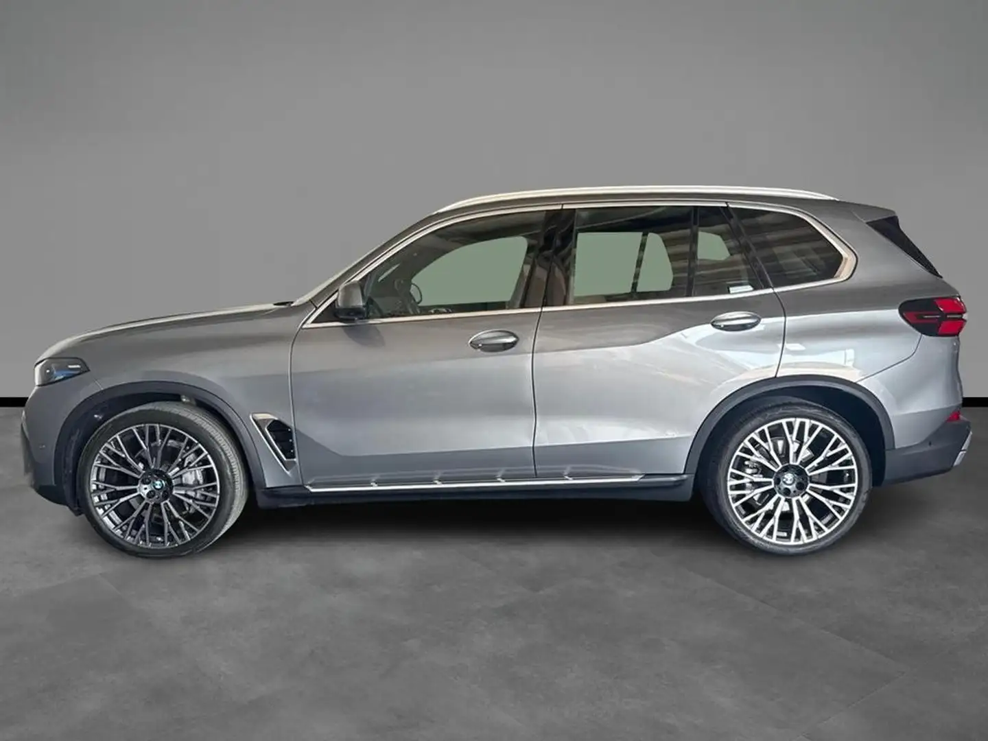 BMW X5 xdrive30d auto Gris - 2