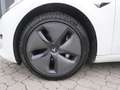 Tesla Model 3 Standard Range *nur 77.500 KM!* Weiß - thumbnail 6