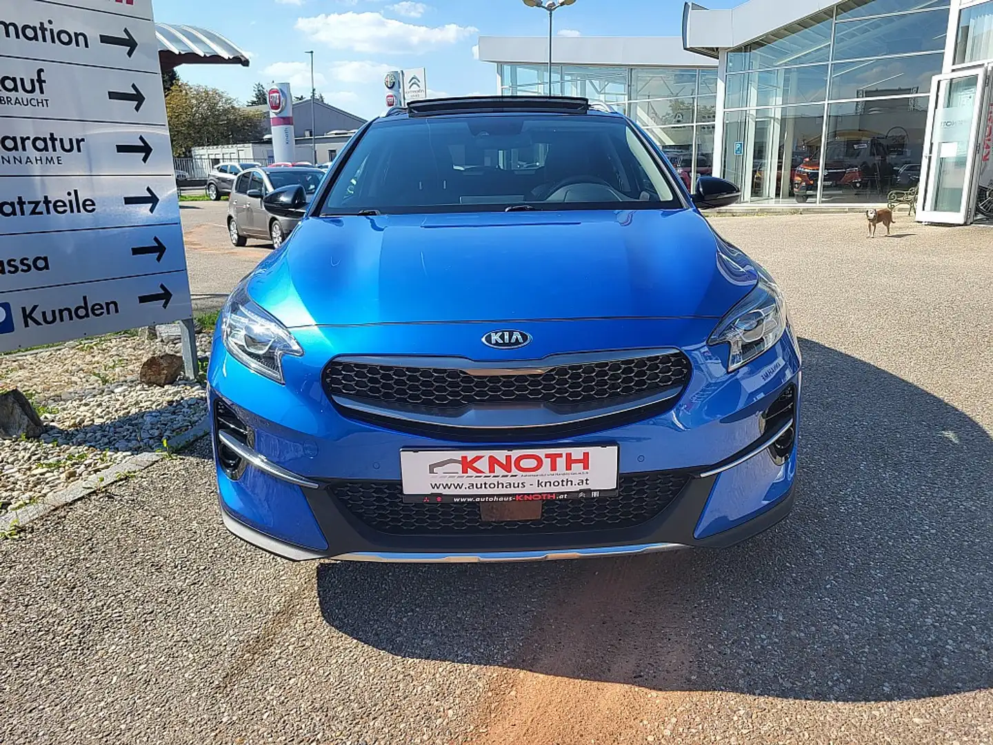 Kia XCeed Xceed 1,5 TGDI GPF Platin Blau - 2
