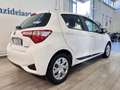 Toyota Yaris 1.5 Hybrid 5 porte Active Bianco - thumbnail 6