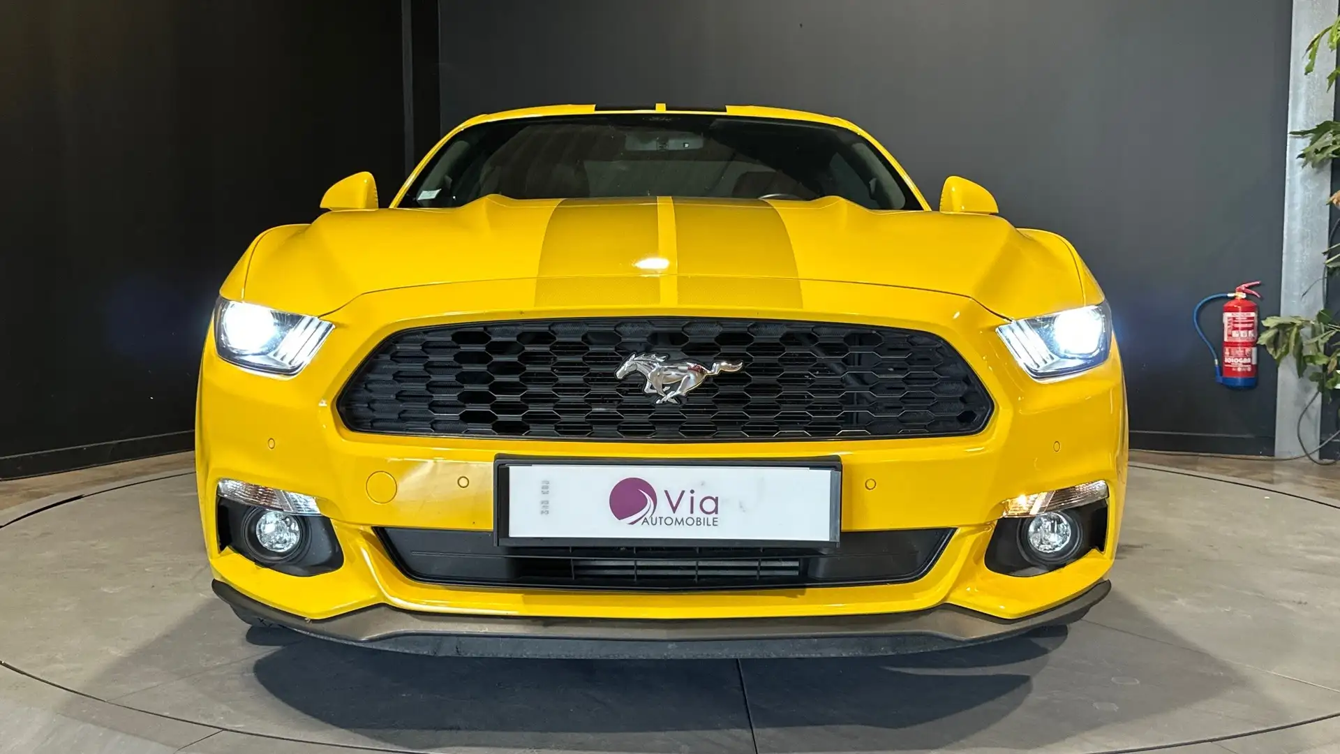 Ford Mustang Mustang Fastback 2.3 317 PAS DE MALUS Jaune - 2