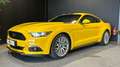 Ford Mustang Mustang Fastback 2.3 317 PAS DE MALUS Jaune - thumbnail 1