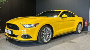 Mustang Fastback 2.3 317 PAS DE MALUS
