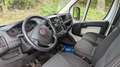 Fiat Ducato Kasten 35 115 L1H1 RS: 3000 mm*Bluetooth* Blanc - thumbnail 11