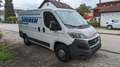 Fiat Ducato Kasten 35 115 L1H1 RS: 3000 mm*Bluetooth* Blanc - thumbnail 7