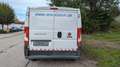 Fiat Ducato Kasten 35 115 L1H1 RS: 3000 mm*Bluetooth* Blanc - thumbnail 4