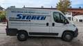 Fiat Ducato Kasten 35 115 L1H1 RS: 3000 mm*Bluetooth* Blanc - thumbnail 6