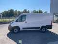 Fiat Ducato 28 2.3 MJT 120CV PC-TN Furgone Bianco - thumbnail 4