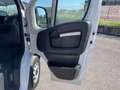 Fiat Ducato 28 2.3 MJT 120CV PC-TN Furgone Bianco - thumbnail 14
