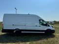 Ford Transit 2.0 Ecoblue EK 350 L4 Trend Weiß - thumbnail 4