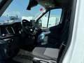 Ford Transit 2.0 Ecoblue EK 350 L4 Trend Weiß - thumbnail 9