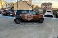 smart forFour forfour 70 1.0 Prime Bruin - thumbnail 4