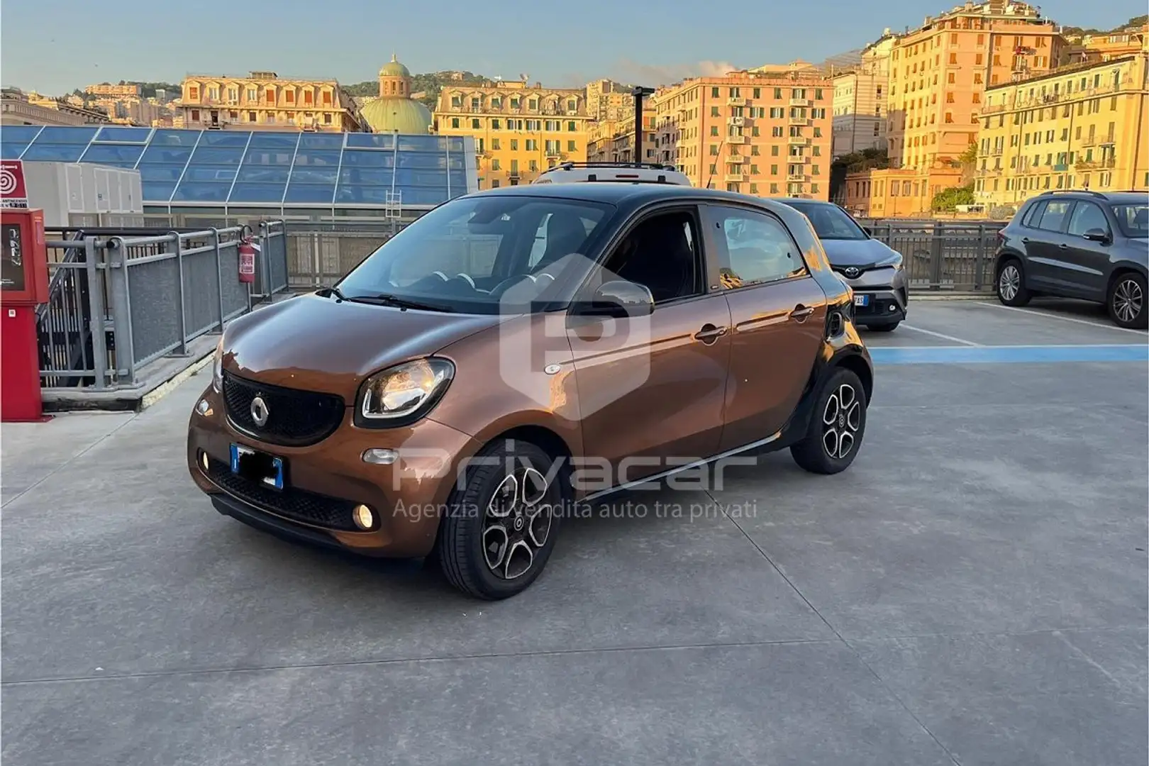 smart forFour forfour 70 1.0 Prime Bruin - 1