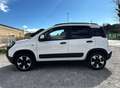 Fiat Panda 1.0 FireFly 70cv S&S Hybrid Cross Weiß - thumbnail 7