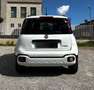 Fiat Panda 1.0 FireFly 70cv S&S Hybrid Cross Weiß - thumbnail 3